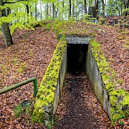Fotokon/Shutterstock