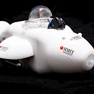 Peter Clarke, RMIT University