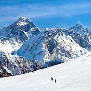 Daniel Prudek/Shutterstock