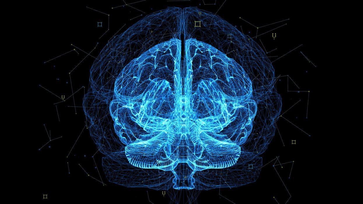 agy neuro kék fekete