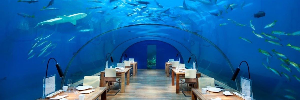 Conrad Maldives Rangali Island vízalatti étterme