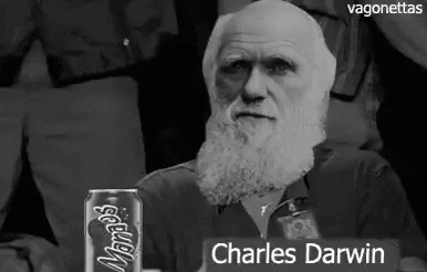 darwin-díj darwin díj halál butaság charles darwin