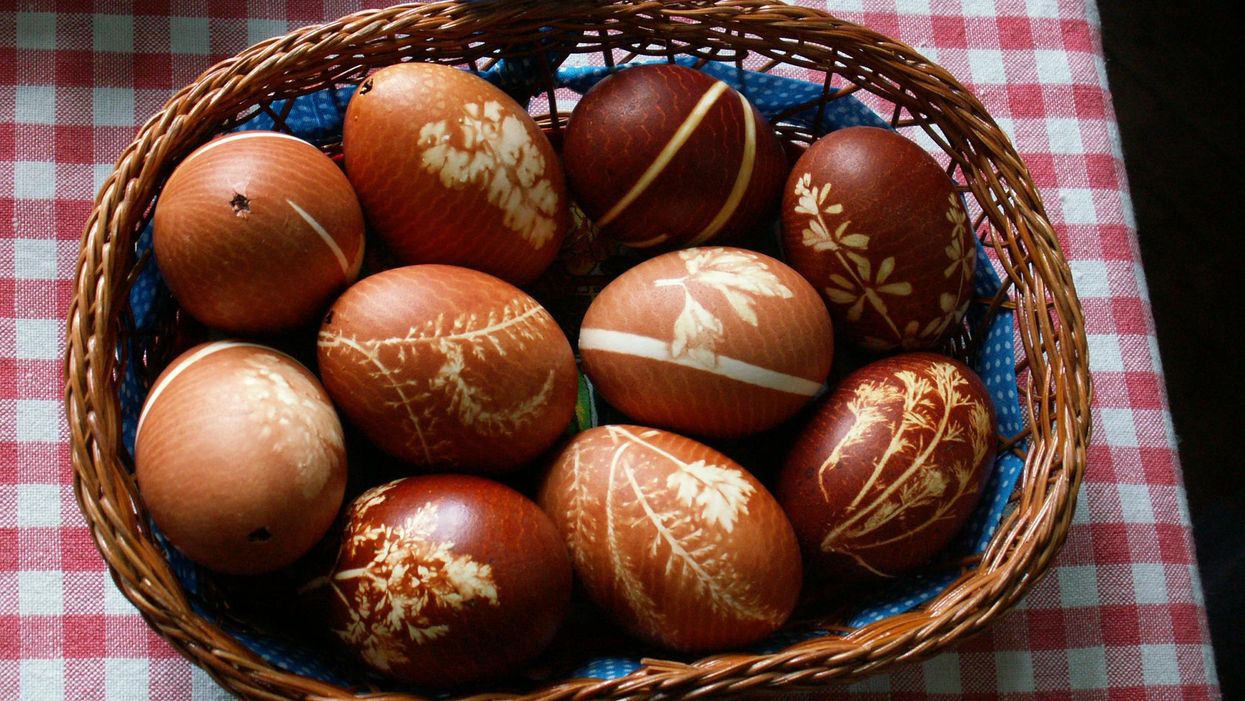 easter egg húsvéti tojás