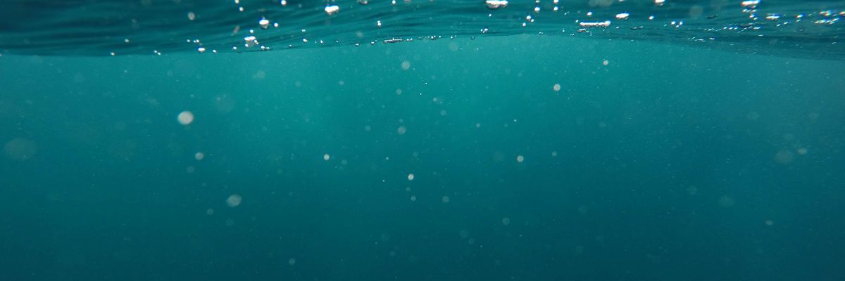 Egy víz alatti kép.