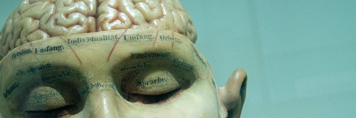 emberi agy modell egy manökenen