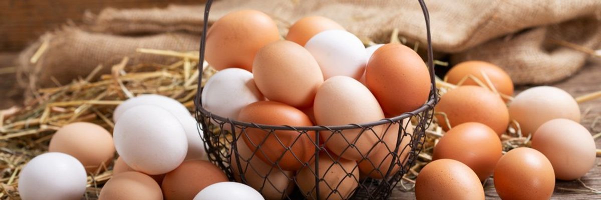 fehér és barna tojások egy fém kosárkában