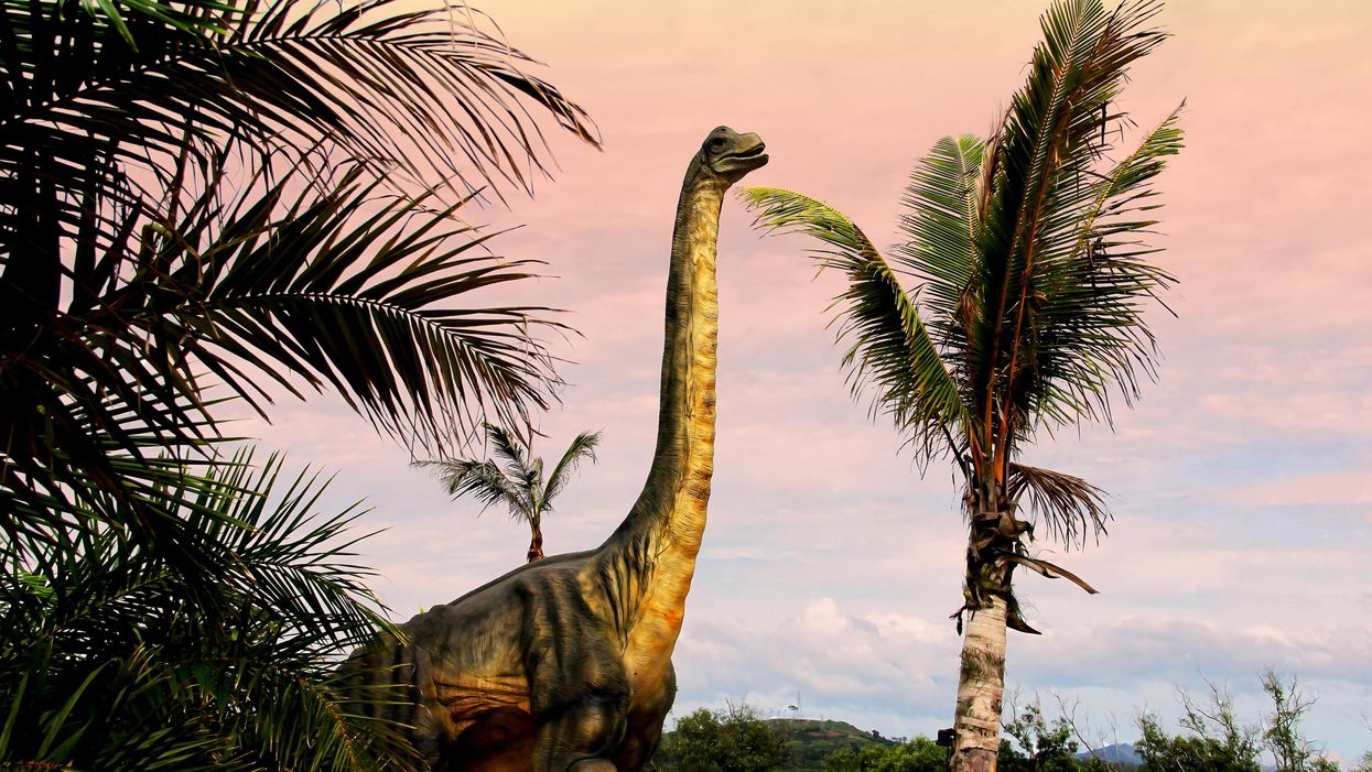 Felfedeztek egy ösvényt, ahol a Föld legnagyobb dinoszauruszai jártak