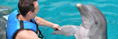 delfin és egy férfi úszómellényben összefogódznak