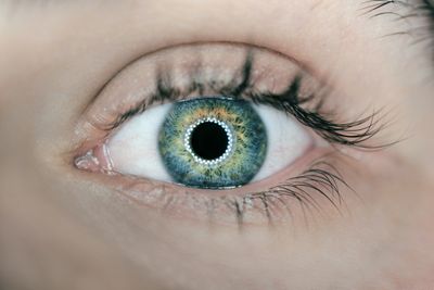 kék szem retina szempilla bőr