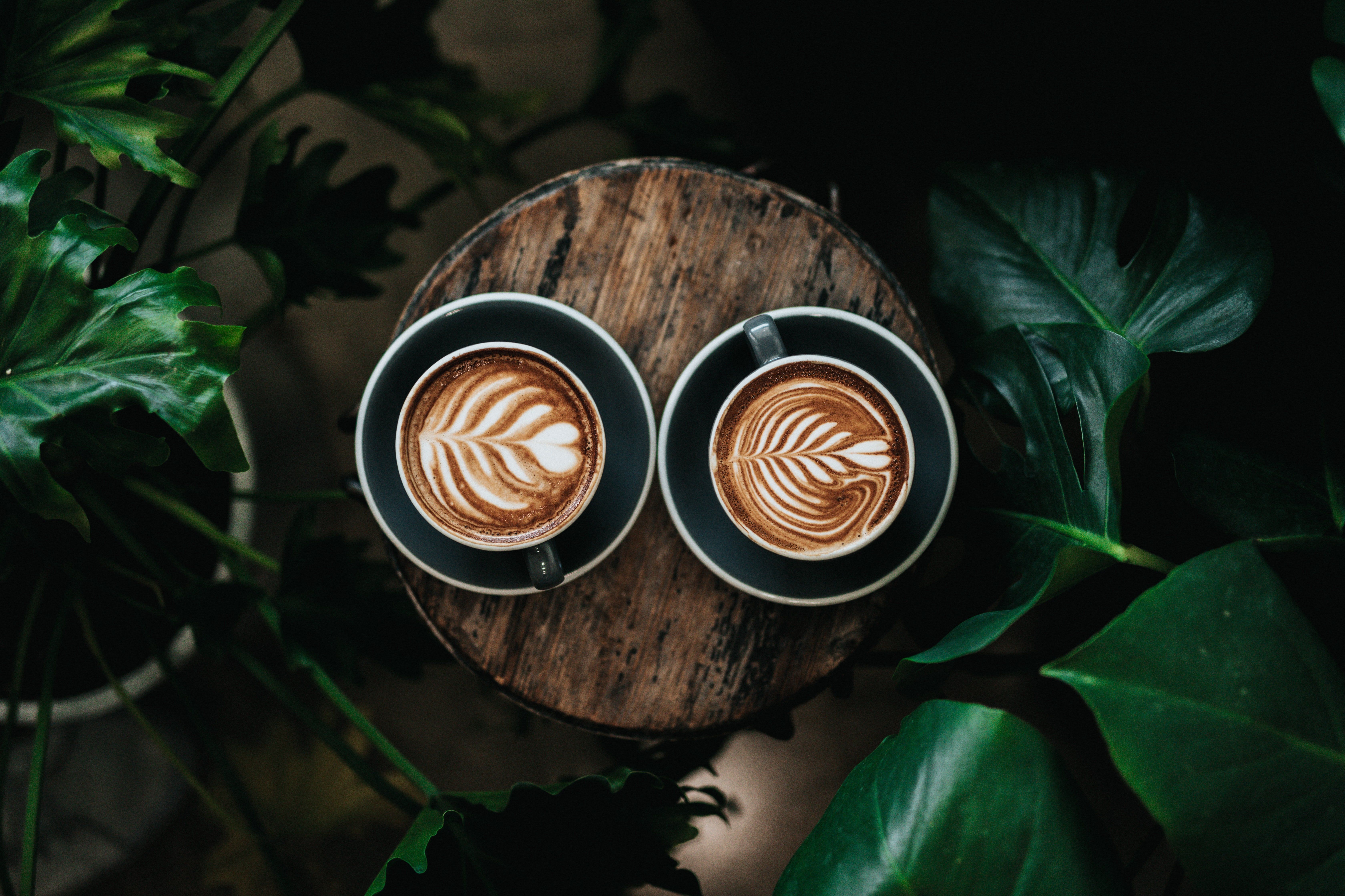 Két csésze kávé zöld növények között