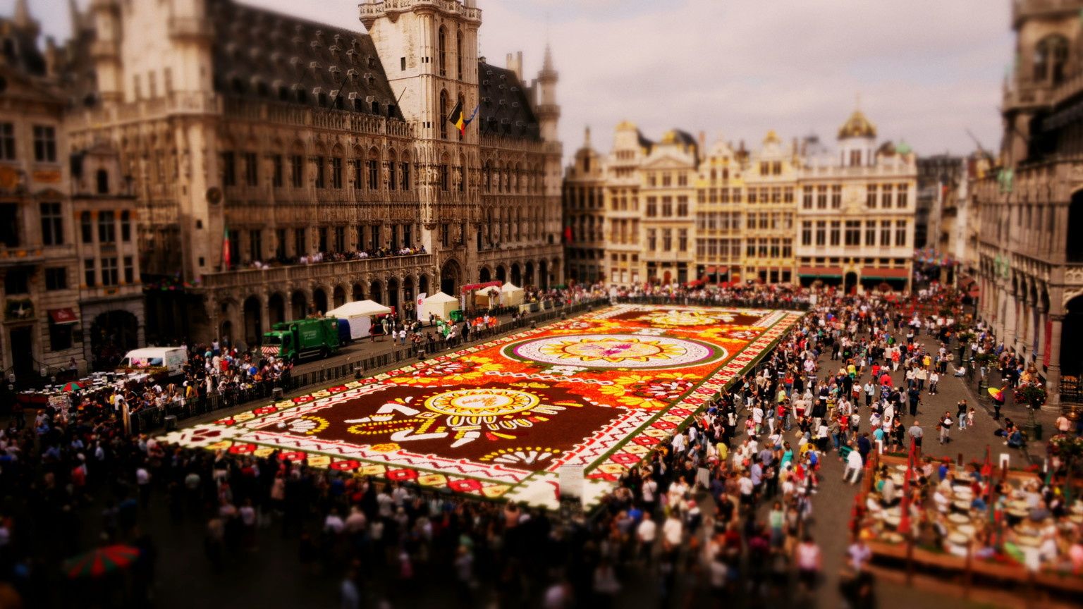 Flower Carpet Brüsszel főterén 2018-ban