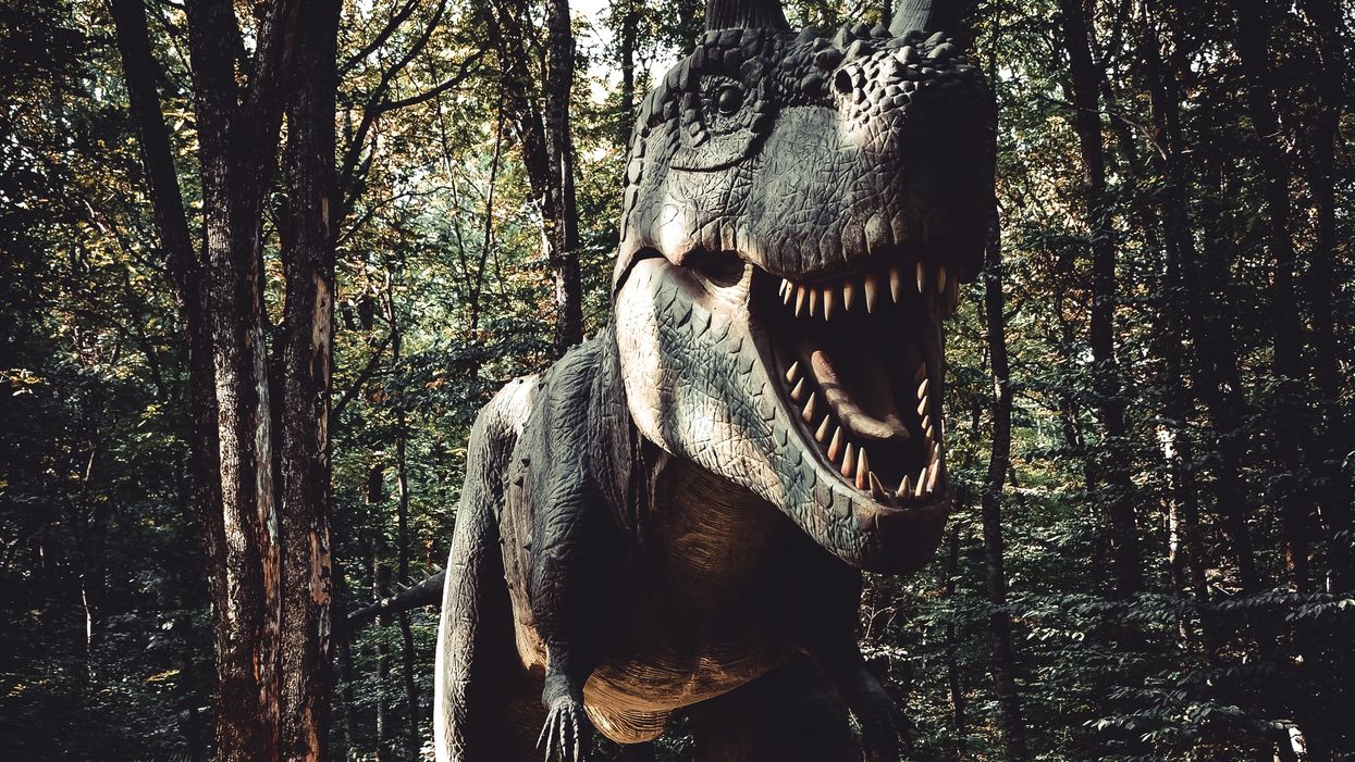 Megtalálták a dinoszauruszok apró ősét