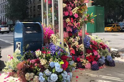 Virágba borultak New York utcái: szemetesek és telefonfülkék teltek meg növényekkel