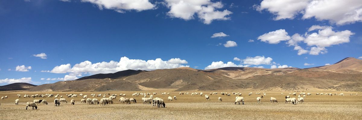 Háromezer éves sírt találtak a Tibeti-fennsíkon