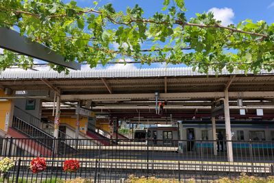 szőlő a vasútállomáson
