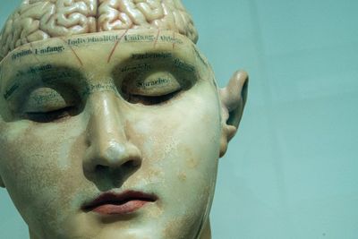 emberi agy modell egy manökenen