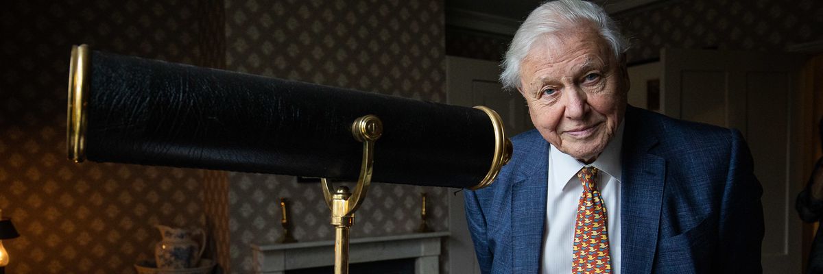 David Attenborough alig regisztrált Instagramra, máris rekorder