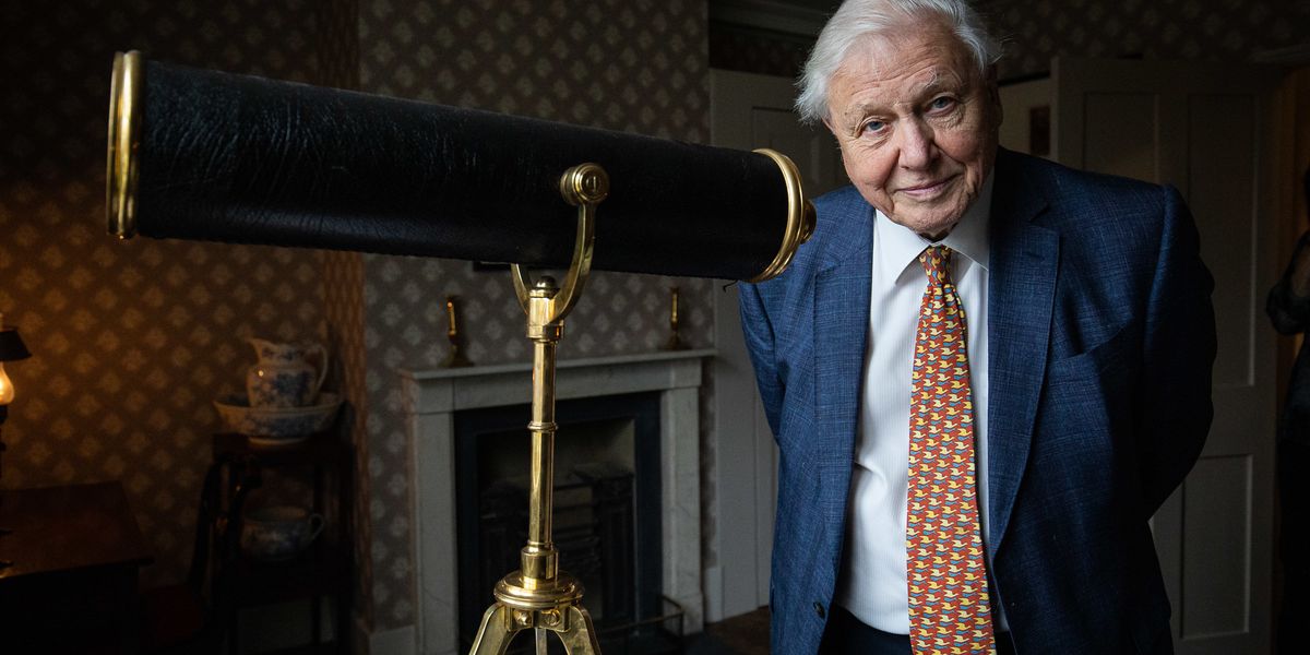 David Attenborough-val indul a Discovery saját streaming-csatornája