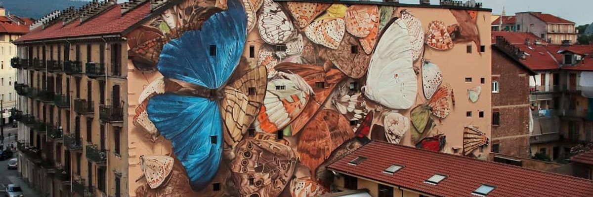 Óriás pillangókkal díszíti a világ legnagyobb városainak házait a francia művész