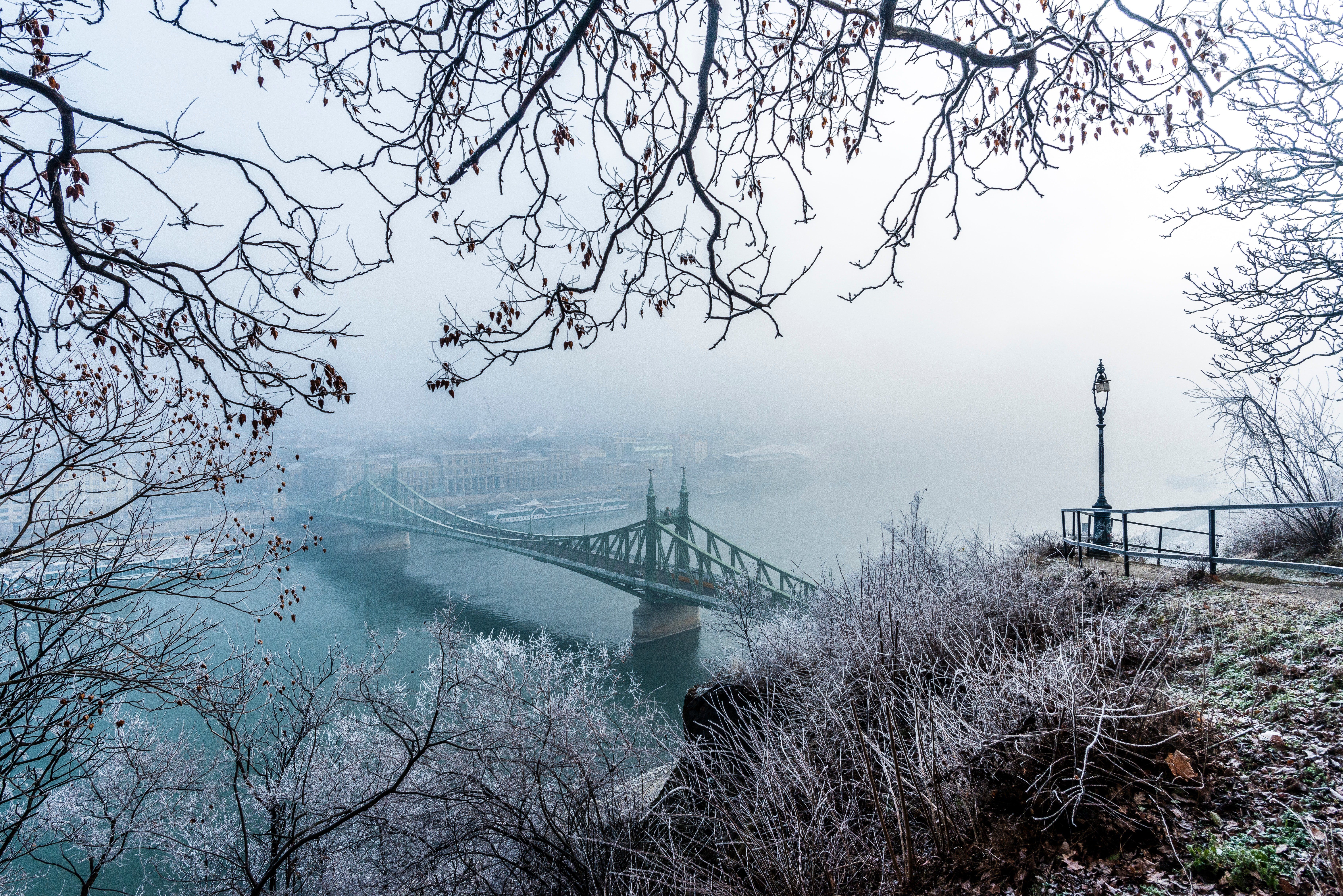 Szabadság híd télen