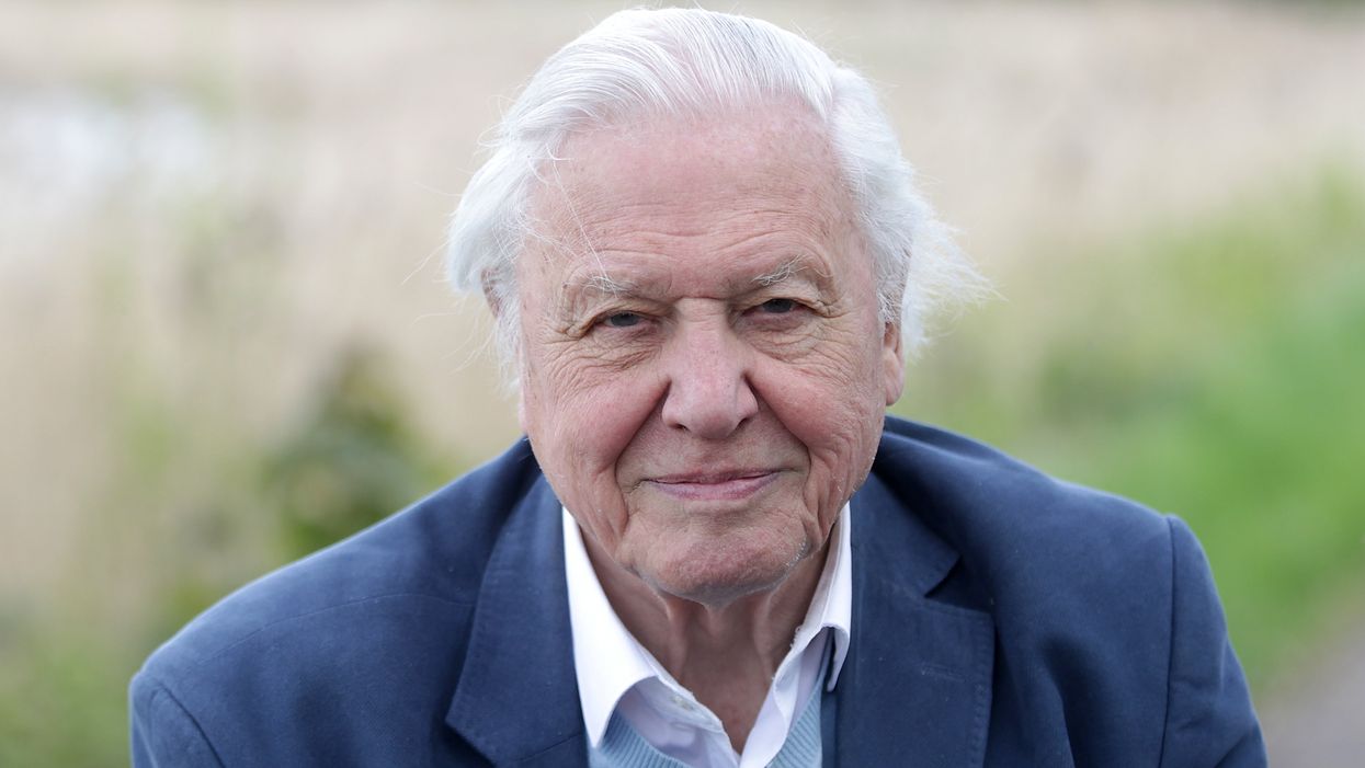 Hiába rekorder, David Attenborough otthagyja az Instagramot