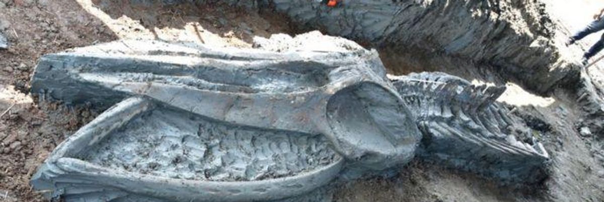 Nagyon ritka régészeti lelet: bálna csontvázat találtak Thaiföldön