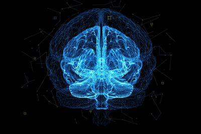 agy neuro kék fekete