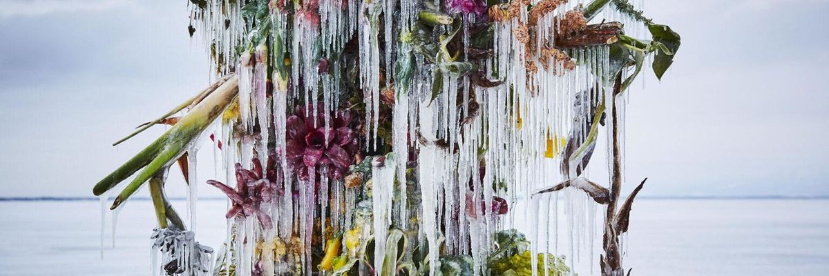 Virágokból készített jégcsodát egy japán művész