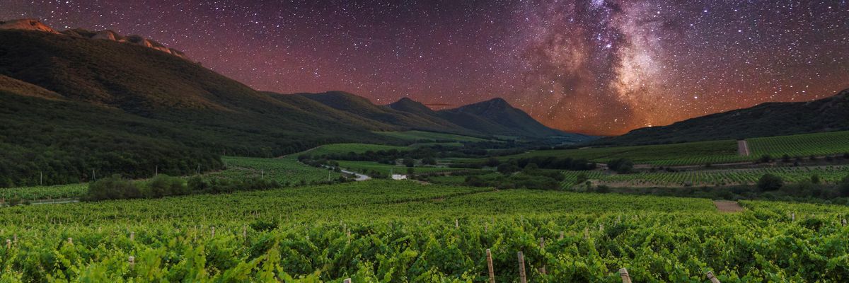 Űrben érlelődött, „földönkívüli" borokat kóstolnak a hónapban