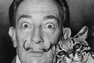 Salvador Dalí festő 