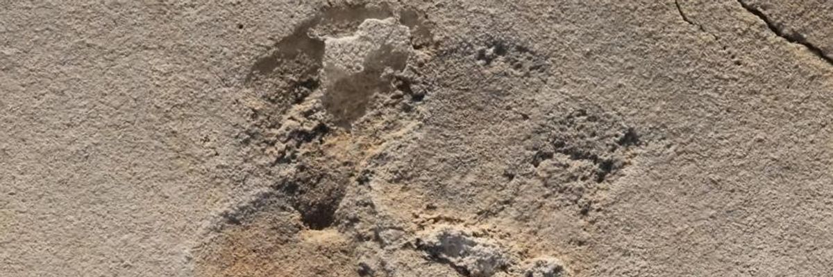 Hatmillió éves emberfélétől származó lábnyomra bukkantak