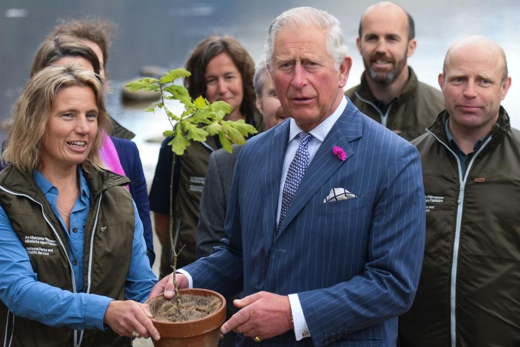 Károly herceg kezében egy növénnyel