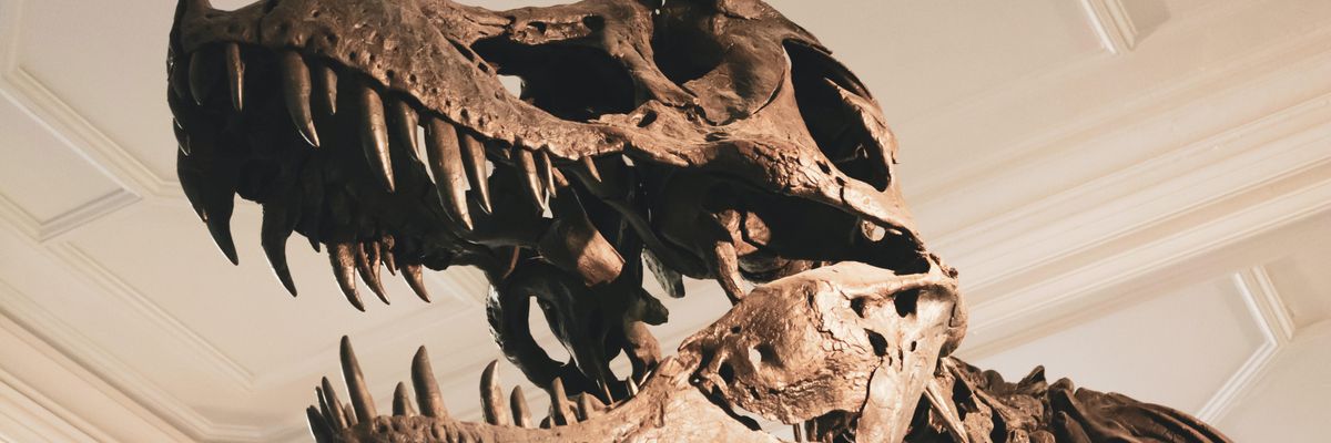 A dinoszauruszoknak valószínűleg színes arca és lábaik lehettek