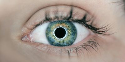 person showing green and black eyelid closeup photography