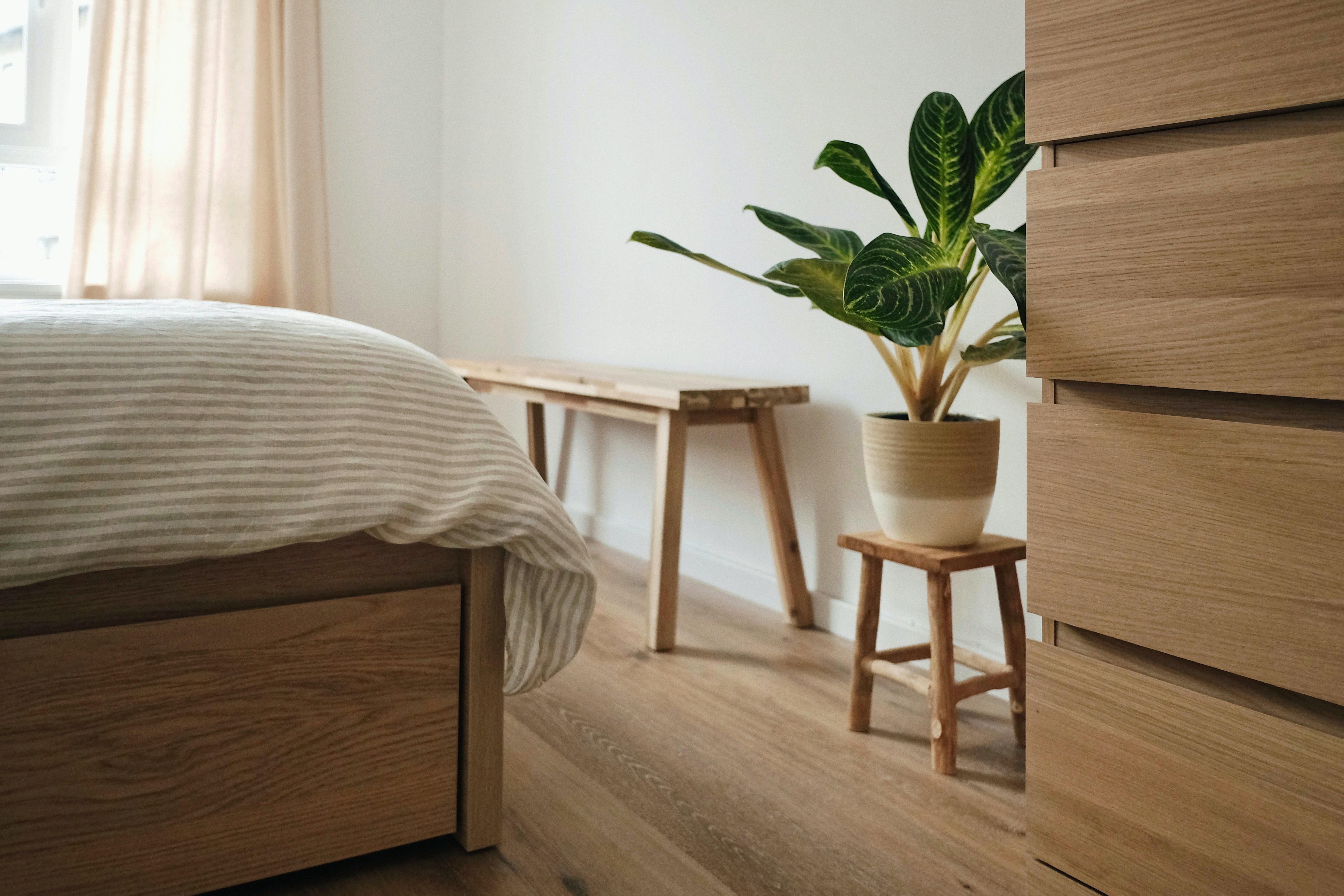természetes fa bútorok zöldnövény egy lakásban 