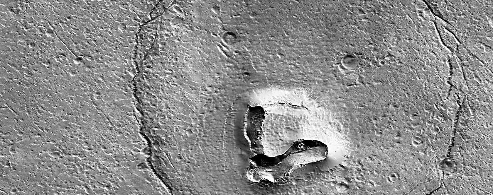 medve arc a Marson