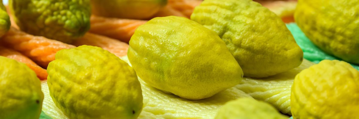 A legfinomabb citrusféle, amiről lehet, még nem is hallottál