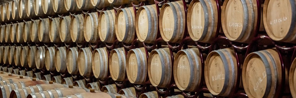 90+ pontos borok a Jammertal Borbirtok kínálatában (X)