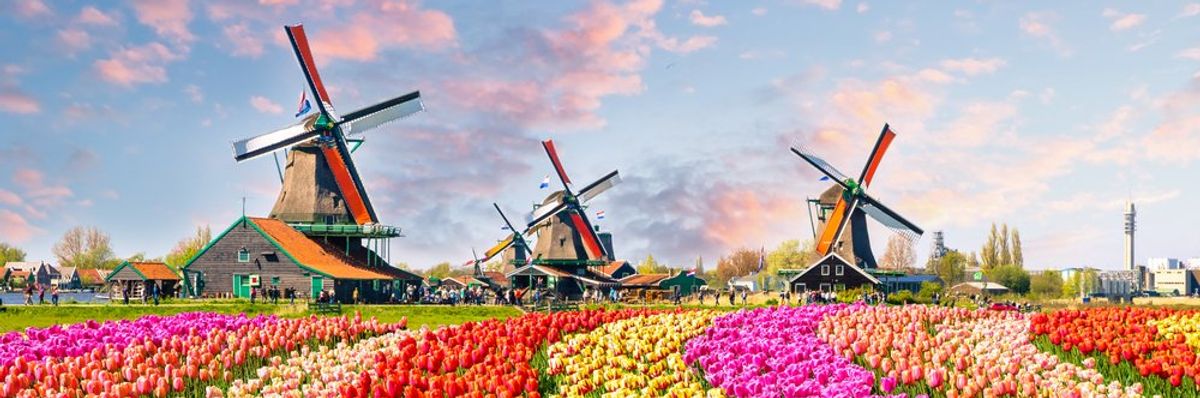 Több mint tulipán – 5 tárgy, amely Hollandiát idézi