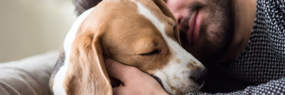 Egy új kutatás szerint a kutyák képesek kiszagolni a traumáinkat