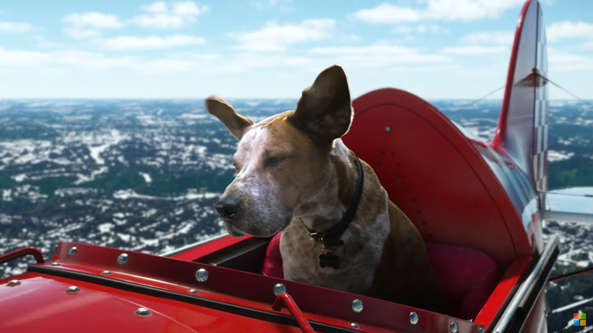 repülő kutya