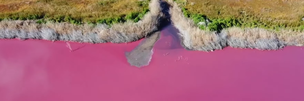 Pinkké változott egy argentin lagúna színe