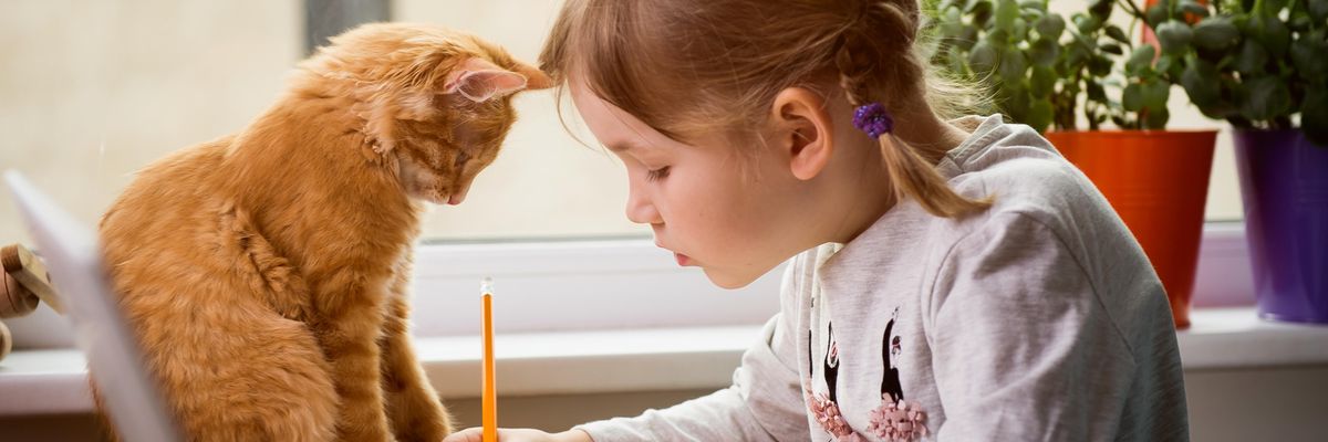 kislány ír miközben egy macska figyeli