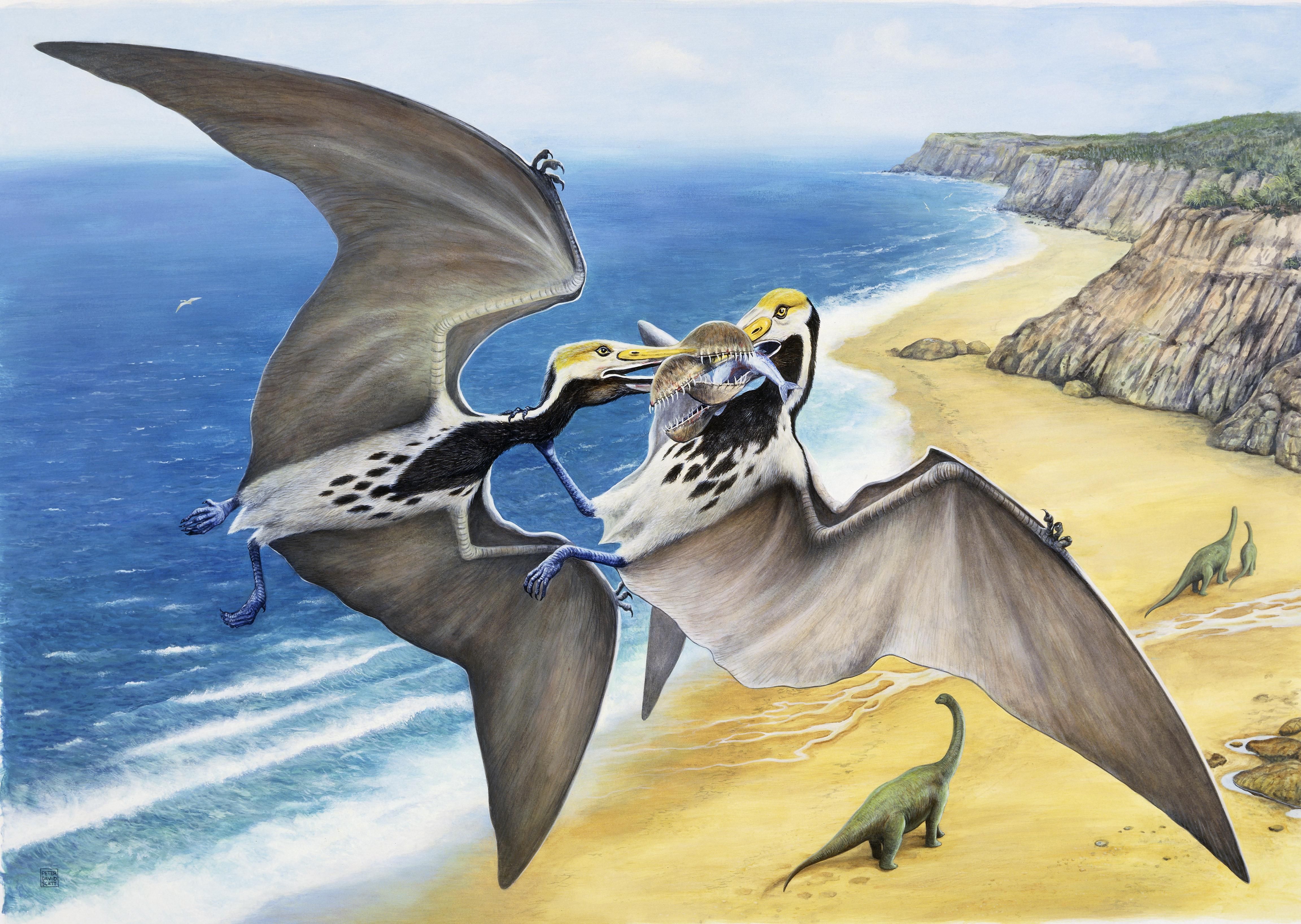 pteroszauruszok