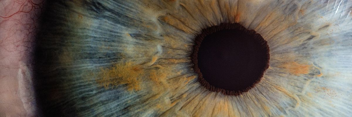 macro photography of human eye