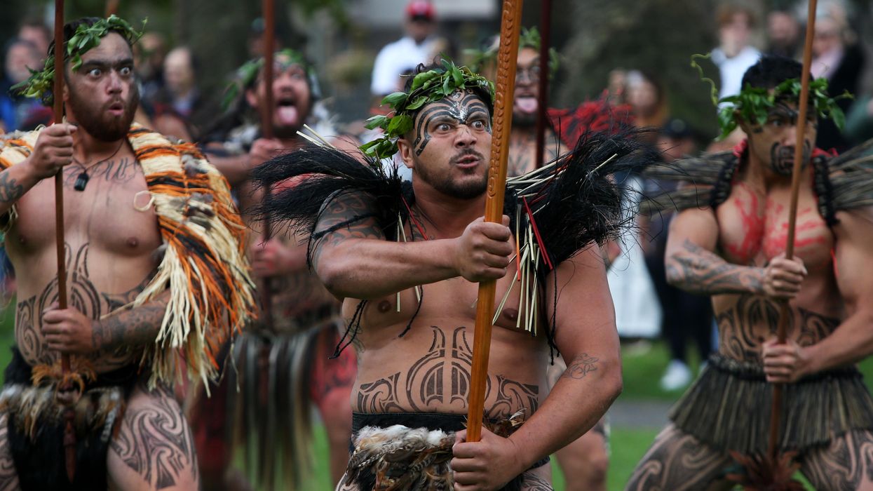 maori emberek törzs új-zéland