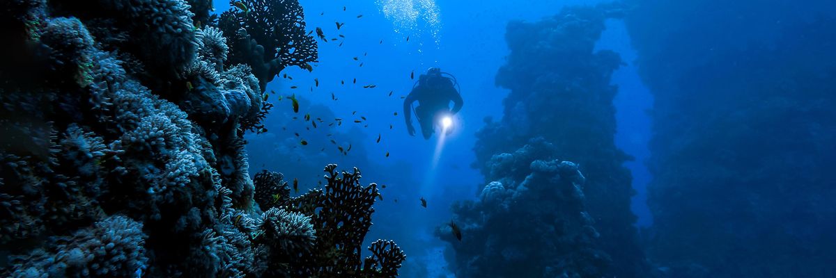 mélytengeri búvár a víz alatt