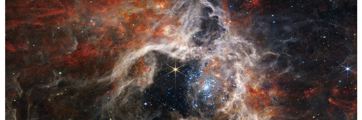 Tarantula Nebula.