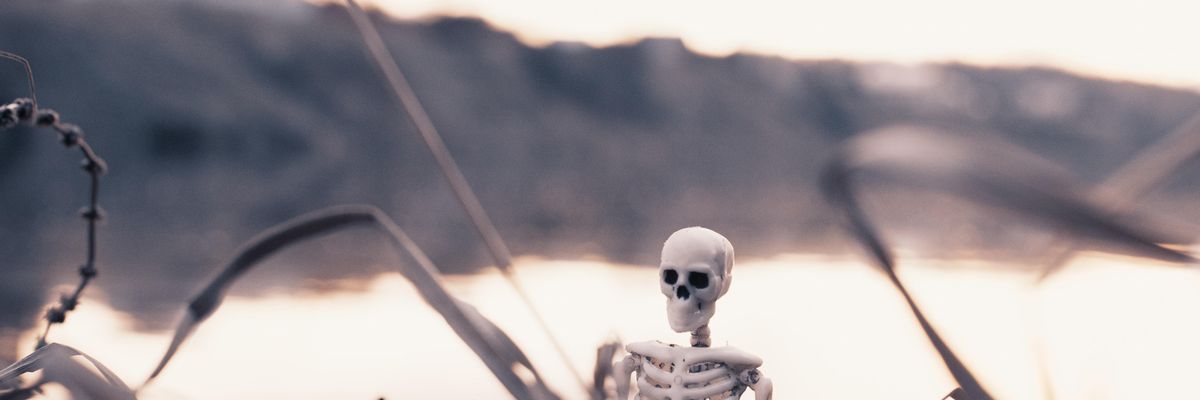 white and black skeleton figurine on brown grass during daytime
