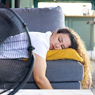 Ahmet Misirligul/Shutterstock.com